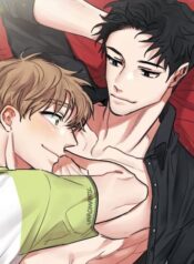 bx117877-HPNQrSmFwNRM