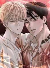 1717394569992-scale-3_43x